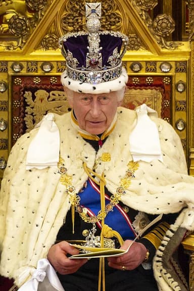 Official portrait photograph of King Charles III at the State Opening of Parliament