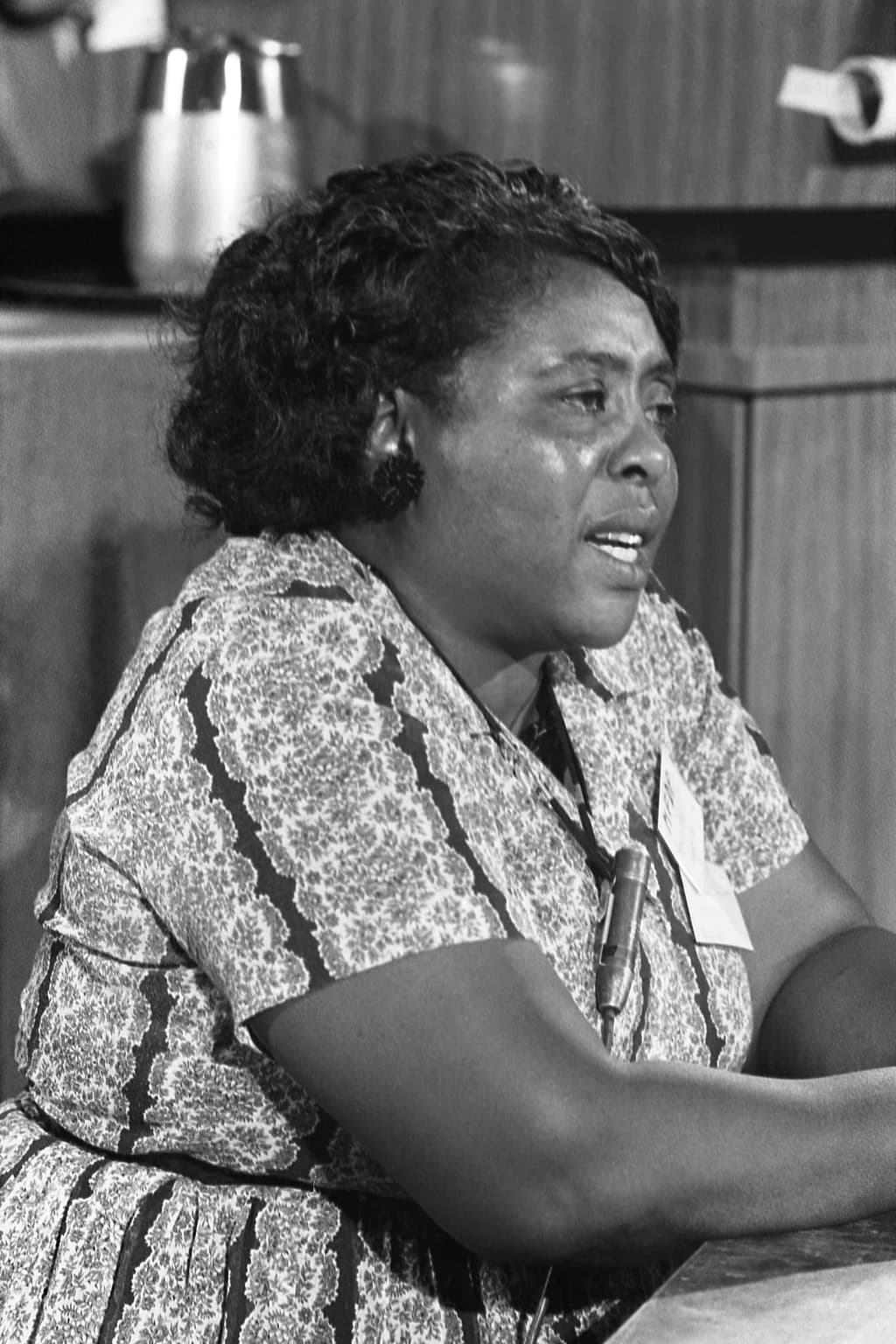 Fannie Lou Hamer at the 1964 Democratic National Convention, photographed by Warren K. Leffler.